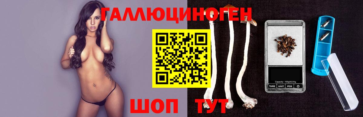 Псилоцибиновые грибы мухоморы Костомукша